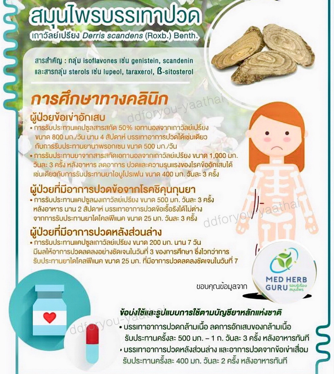 เถาวัลย์เปรียงสกัด