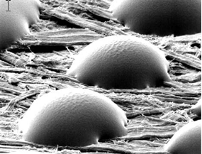 แสดงภาพ SEM หยดหมึกชนิด phase-change ink
