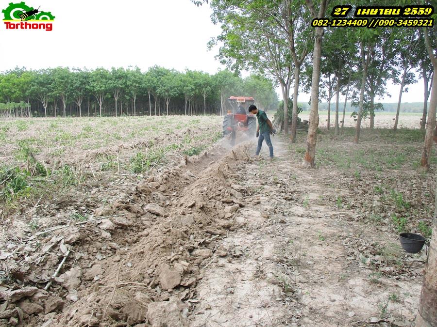 ผานขุดมัน แบบ จานขุด