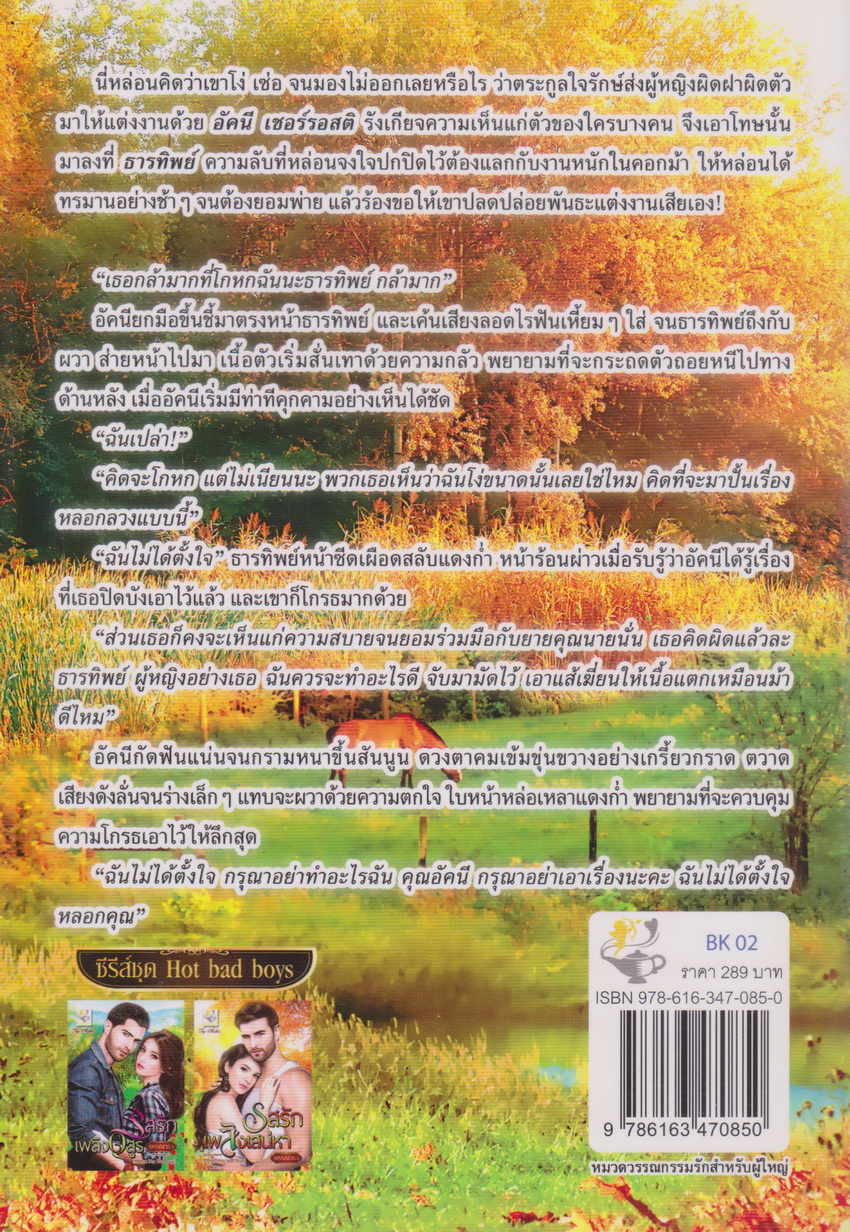 นิยาย ซีรี่ส์ชุด Hot bad boys : รสรักเพลิงเสน่หา+รสรักเพลิงอสูร+รสรักเพลิงพิศวาส (3 เล่มชุด) ขายยกชุด ผู้เขียน พรรณารา