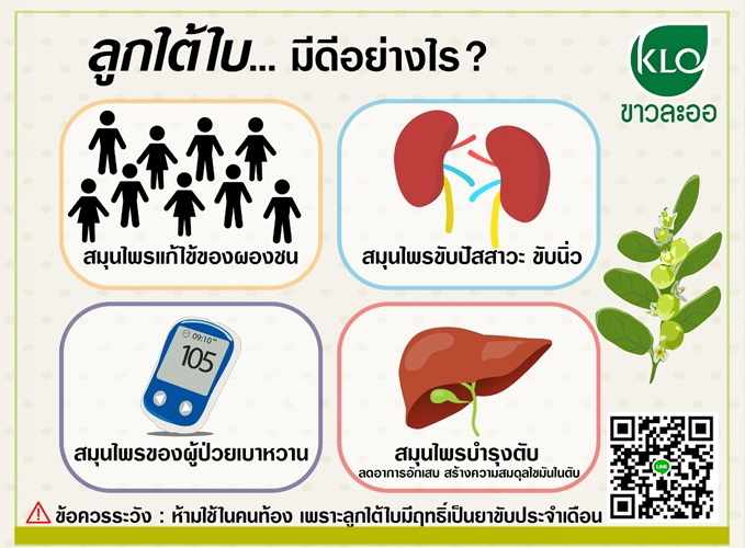 ยาเม็ดลูกใต้ใบ จัดการตับอักเสบ