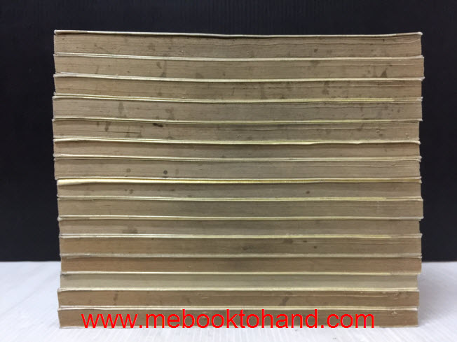 Video Girl วีดีโอ เกิร์ล 1-15 จบ