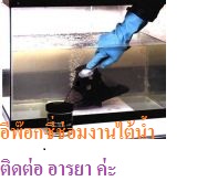 WR 211: Brush able Corrosion Resistant Coating (454 g) อิพ็อกซี่ ที่เหมาะสำหรับการซ่อมแซมแนวตั้งและแนวนอนได้ดี