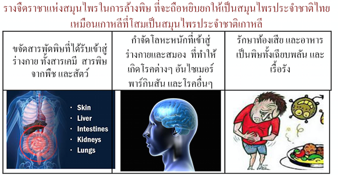 รางจืดชนิดเม็ด ใช้ได้ทั้งคนและสัตว์