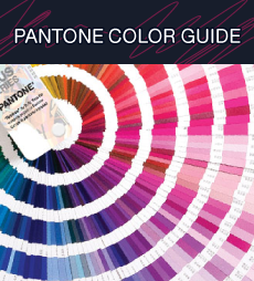 PANTONE COLOR GUIDE แผงควบคุมสี CMS