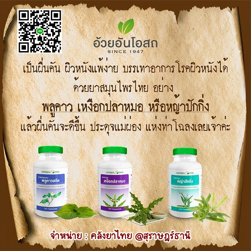 พลูคาวสกัดแคปซูล