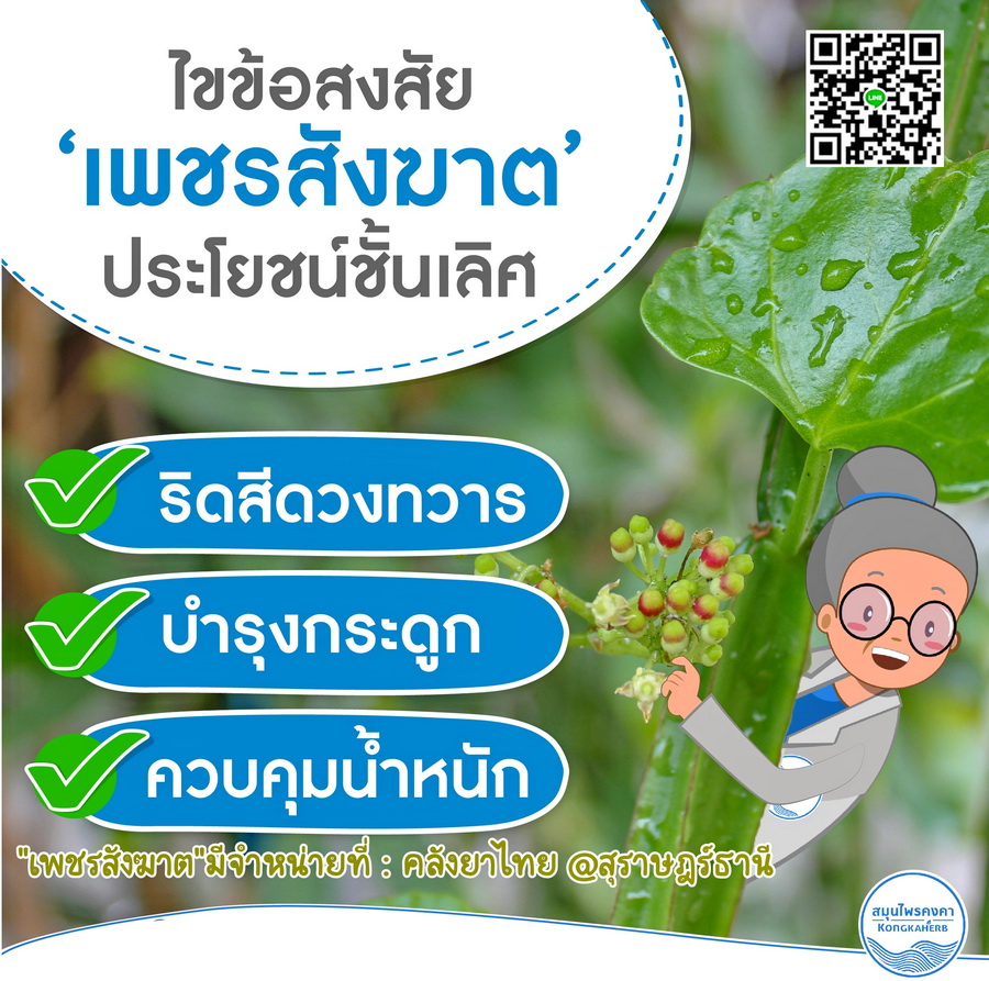 ยาเม็ดเพชรสังฆาต