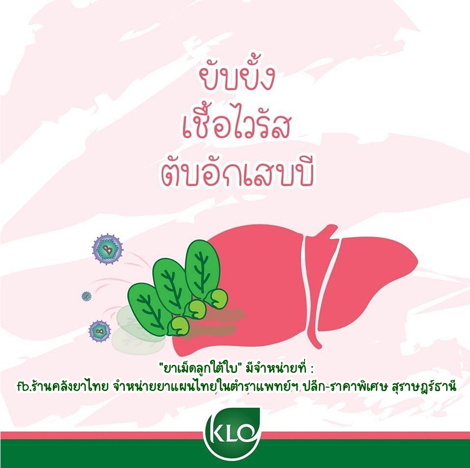 ยาเม็ดลูกใต้ใบ จัดการตับอักเสบ
