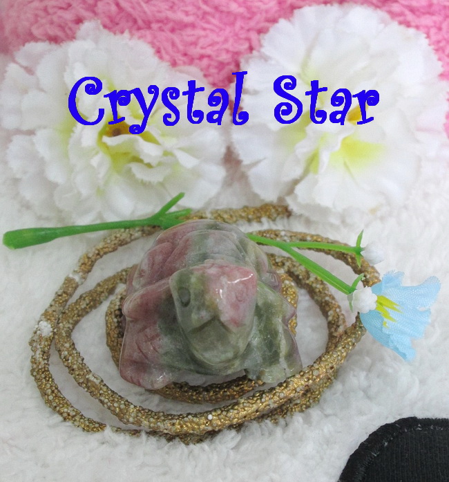 เต่าอาเกต