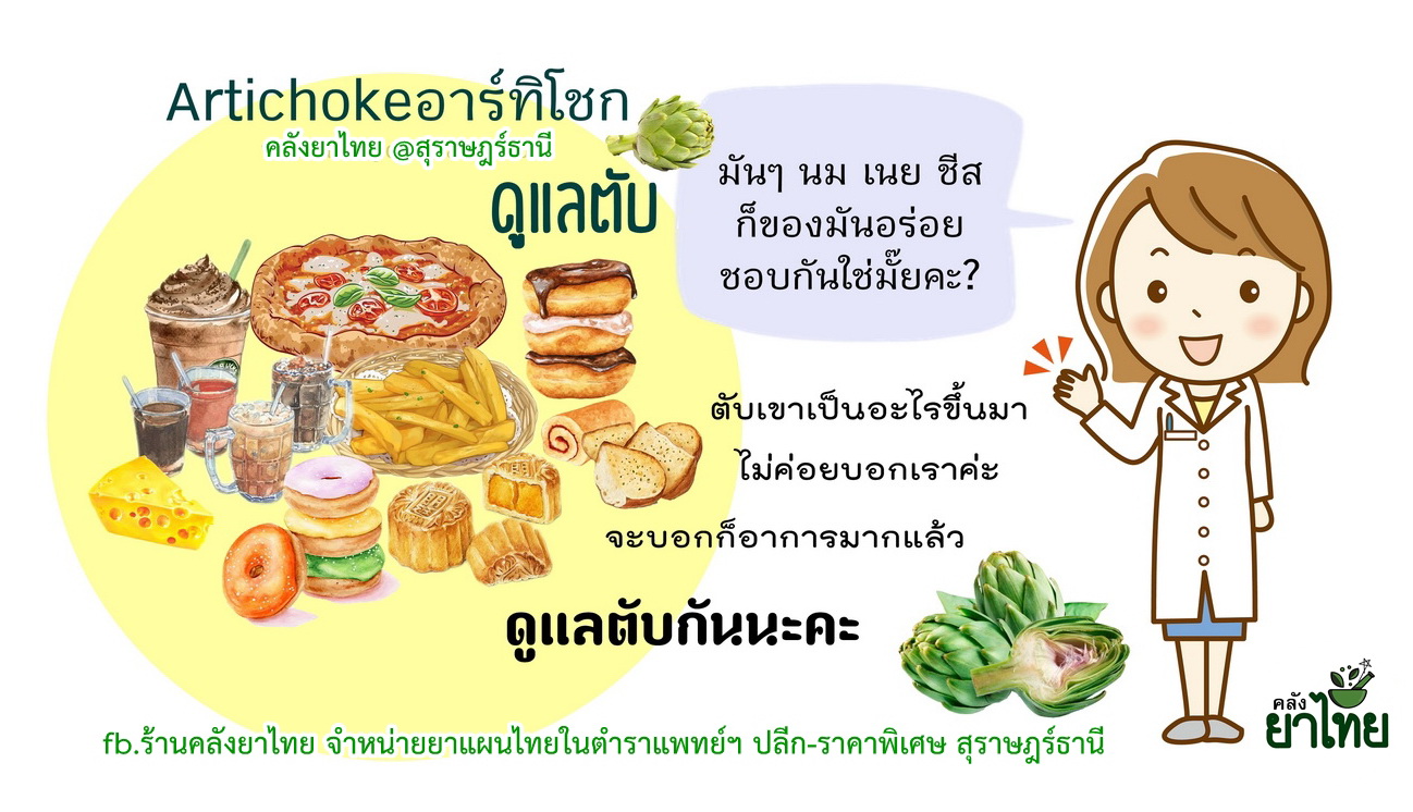 อาร์ทิโชกArtichoke