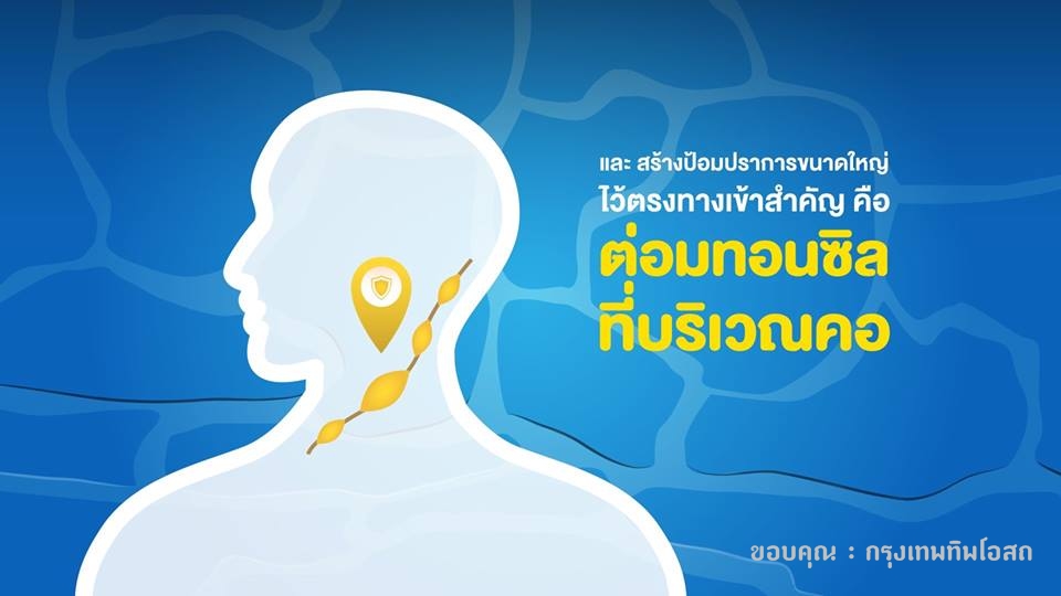 ยาแก้น้ำเหลืองเสีย