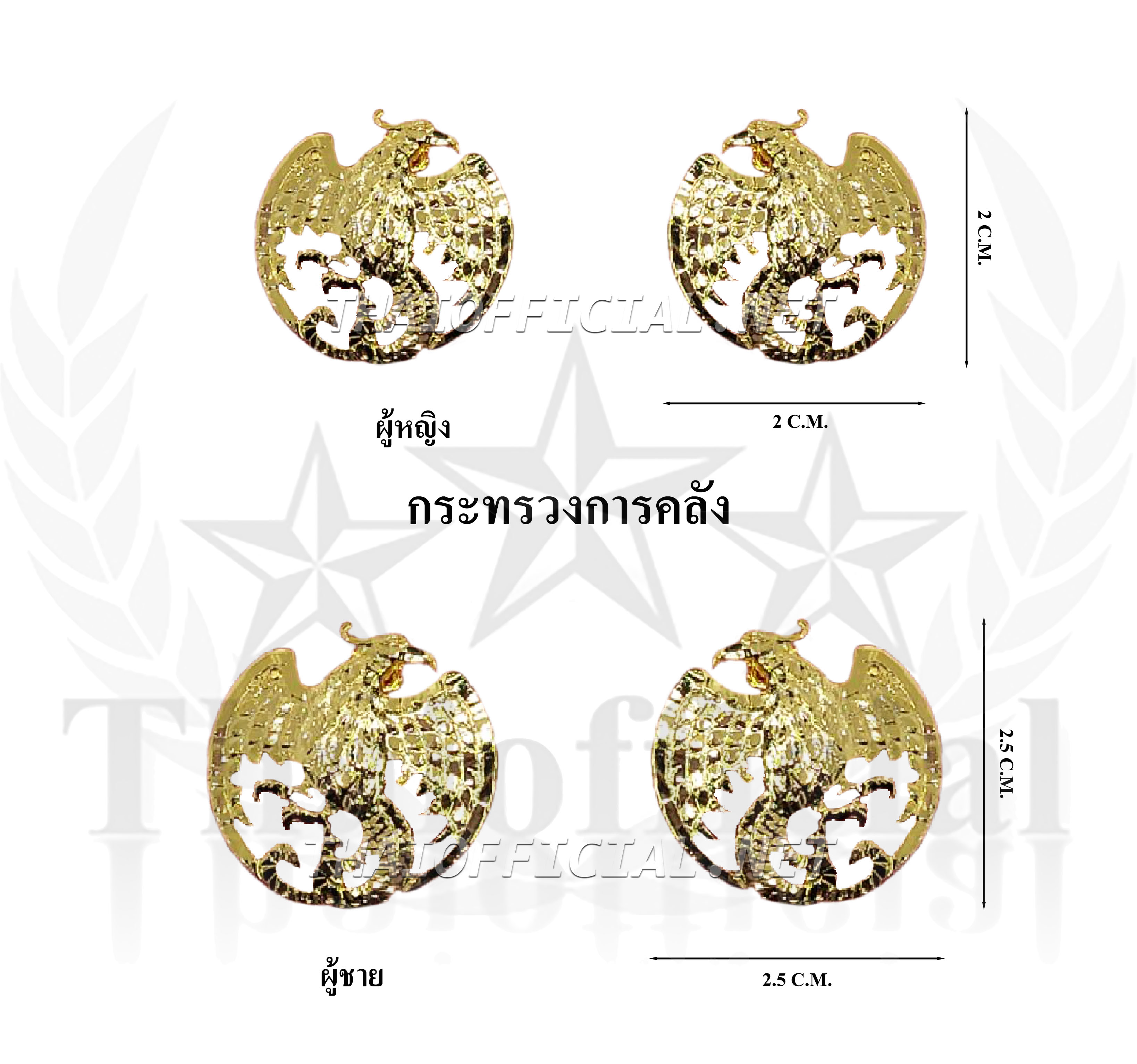 ติดปกเสื้อกระทรวงการคลัง