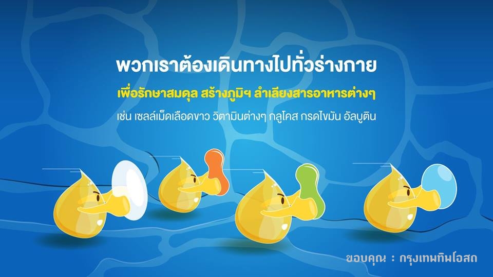 ยาแก้น้ำเหลืองเสีย