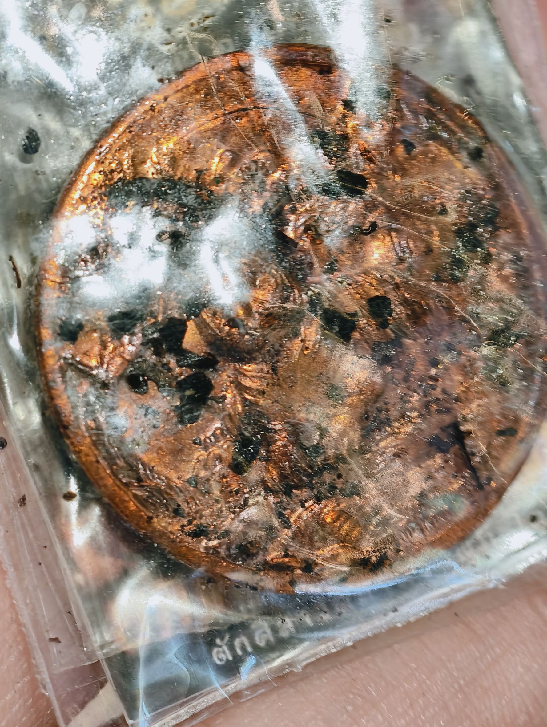 หลวงพ่อประสูติ วัดถ้ำพระพุทธโกสีย์ ในเตา เหรียญเสือนอนกิน พญาเสือเฒ่ายกศิษย์ เหนือดวง ตักศิลา KA 3336