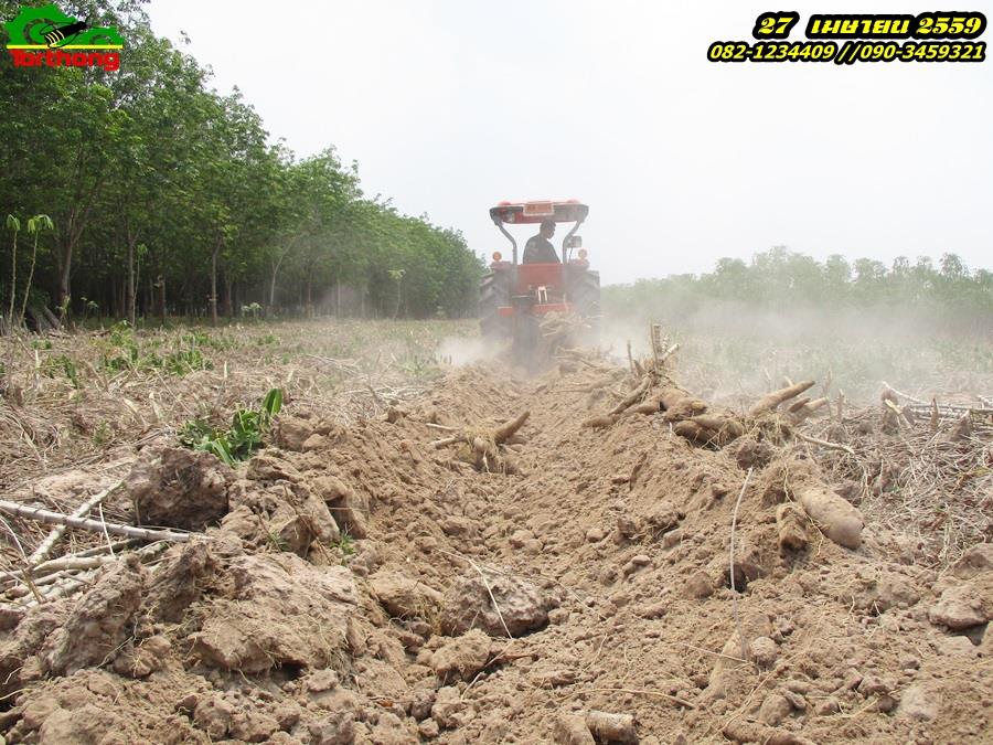 ผานขุดมัน แบบ จานขุด