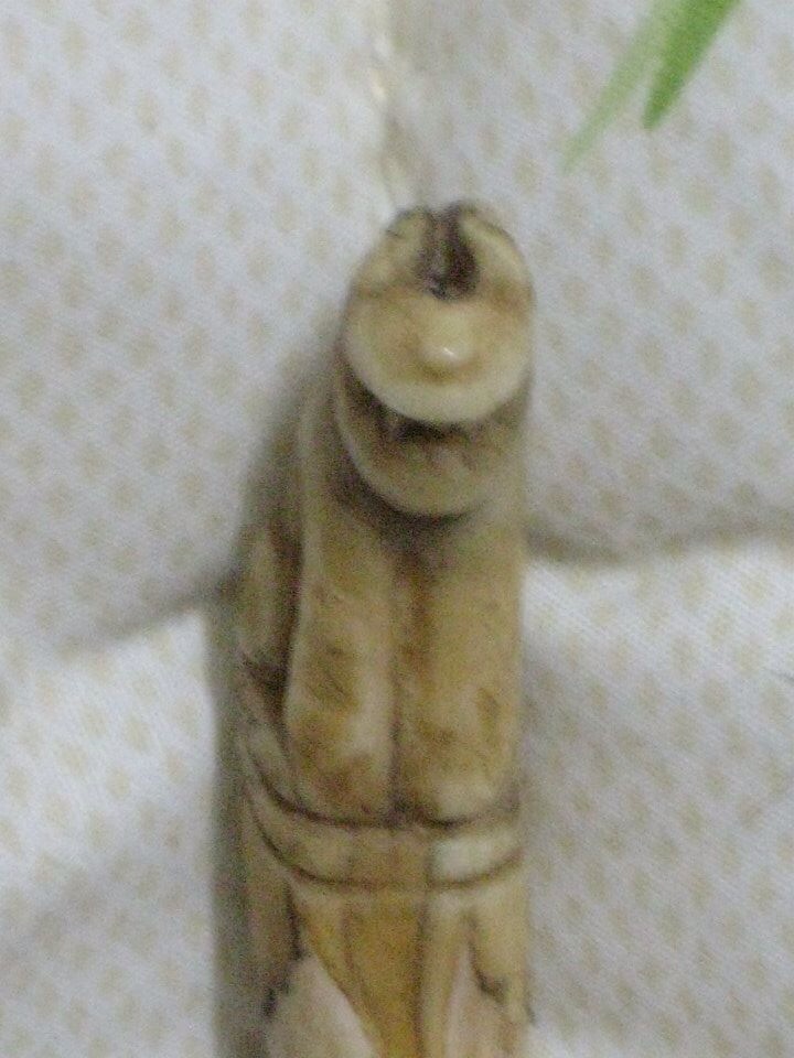 เขี้ยวเสือกลวงแกะเก่า(เครื่องรางพญาเสือ) ถือเป็นของทนสิทธิ์ตามธรรมชาติที่หายากมาก