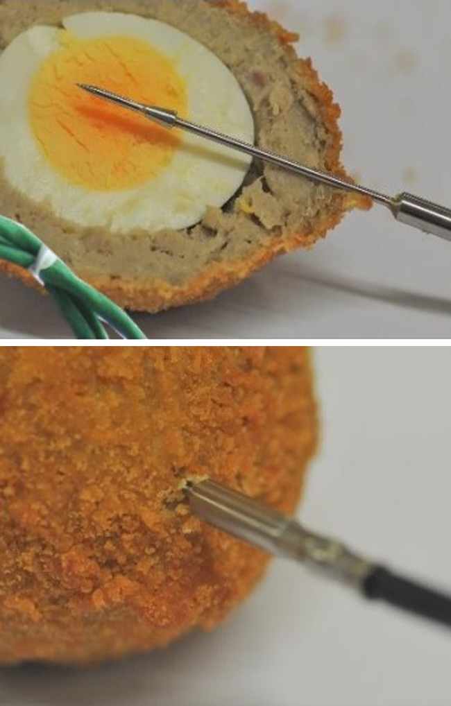 PhoenixTM 6Ch SIGMA Food Low Temperature Profiling System l เครื่องบันทึกอุณหภูมิ อุตสาหกรรมปรุงสุก (เตาอบ-เตาทอด-หม้อนึ่งแรงดันต่ำ) และการแช่เยือกแข็งอาหาร