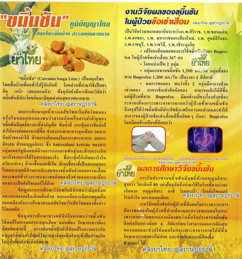 ขมิ้นชันชนิดเม็ด