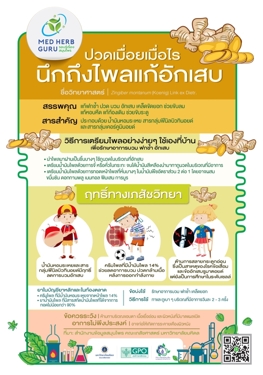 น้ำมันเขียวเพียงใจ น้ำมันเหลืองเพียงใจ