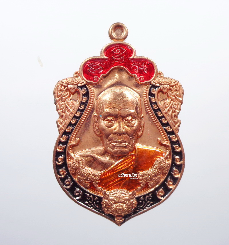 เหรียญ พยัคฆ์ราชาทรัพย์ หลวงพ่อพัฒน์ ปุญญกาโม วัดห้วยด้วน (AB234)