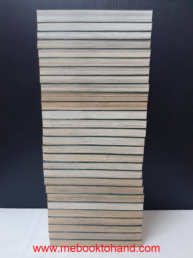 Reservior Chronicle สึบาสะ 1-28 จบ