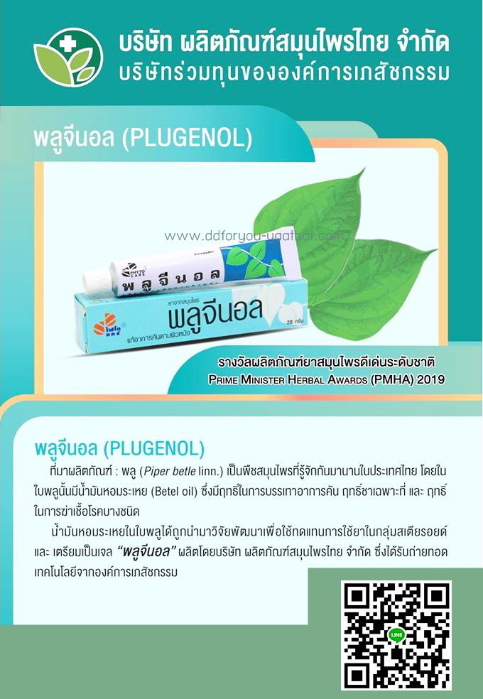 พลูจีนอล ครีมแก้ลมพิษ ผื่นคัน ผิวอักเสบ