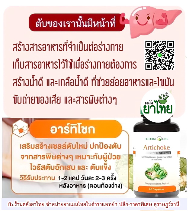 อาร์ทิโชกArtichoke