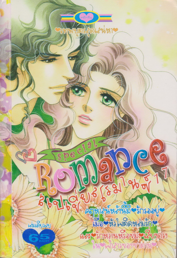 การ์ตูนหมึกจีน สเปเชี่ยลโรมานซ์ เล่ม 17 เล่มเดียวจบ