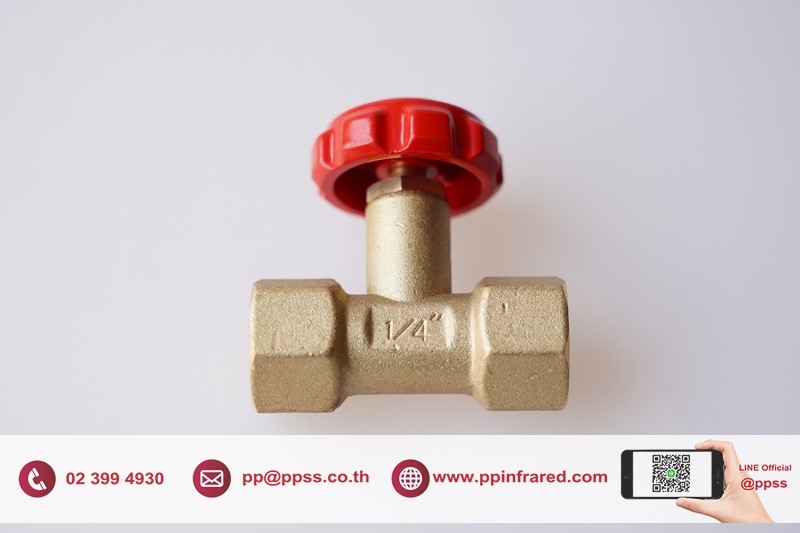 Needle Valve for Gas 1/4" l วาล์วเข็มปรับละเอียดขนาด 1/4"