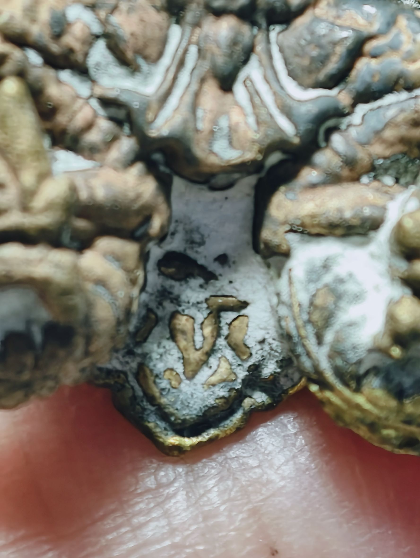 พระครูวิจิตรกาญจนาภรณ์ วัดช่องลิ้ง พญาครุฑ เศรษฐีเงินล้าน กฐิน 59 รุ่นแรก AC2433