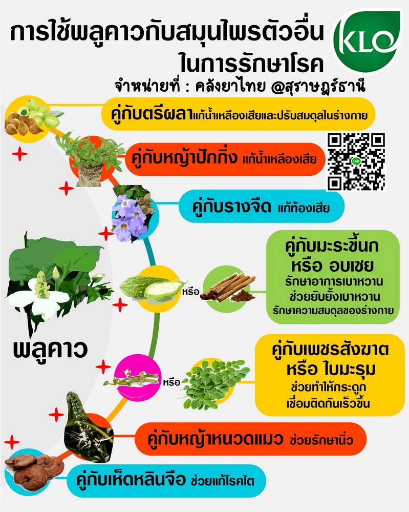 พลูคาวสกัดแคปซูล