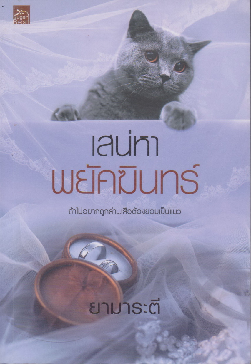 นิยาย เสน่หาพยัคฆินทร์ (พร้อมที่คั่นหนังสือ) ผู้เขียน ยามาระตี