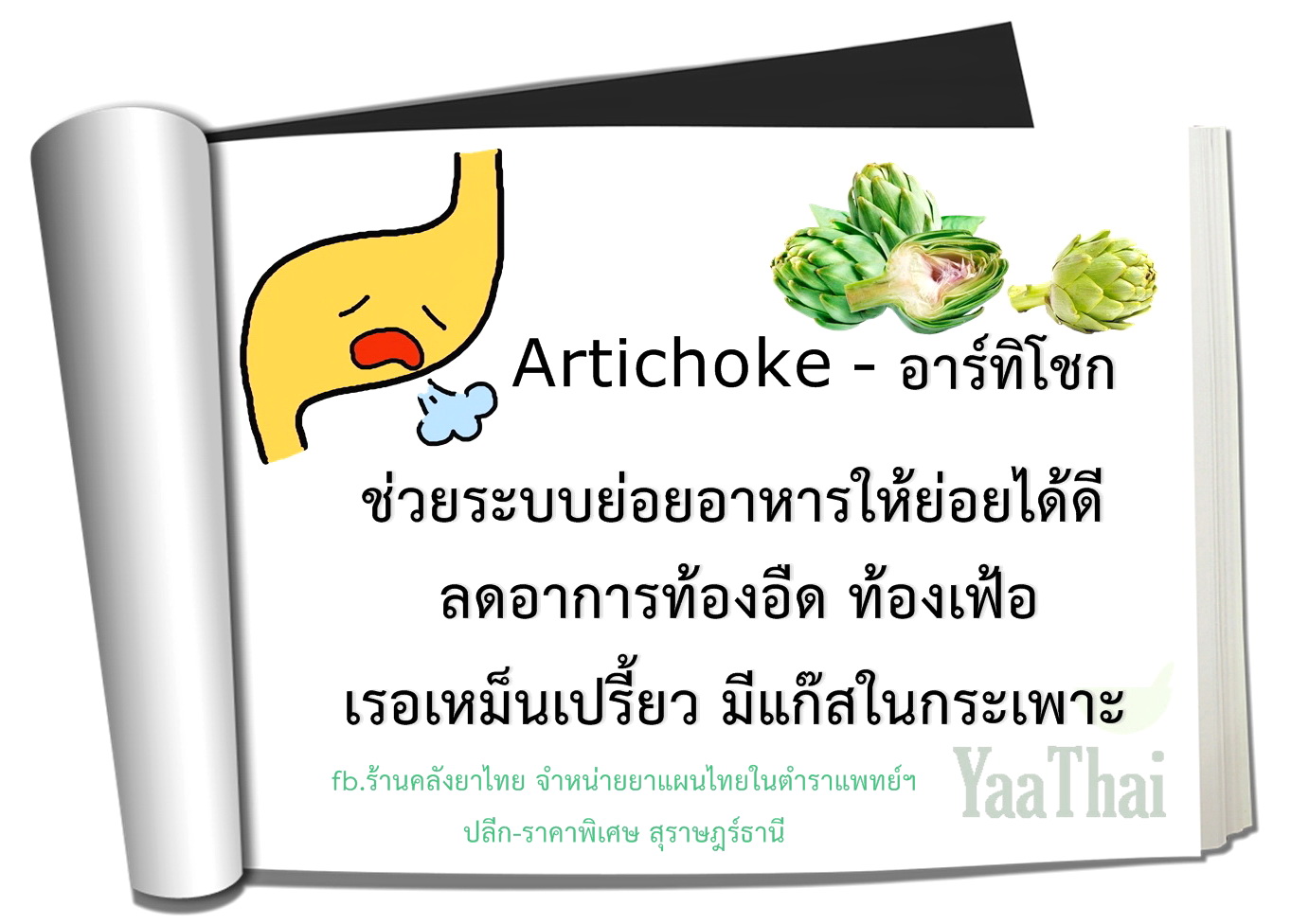 อาร์ทิโชกArtichoke