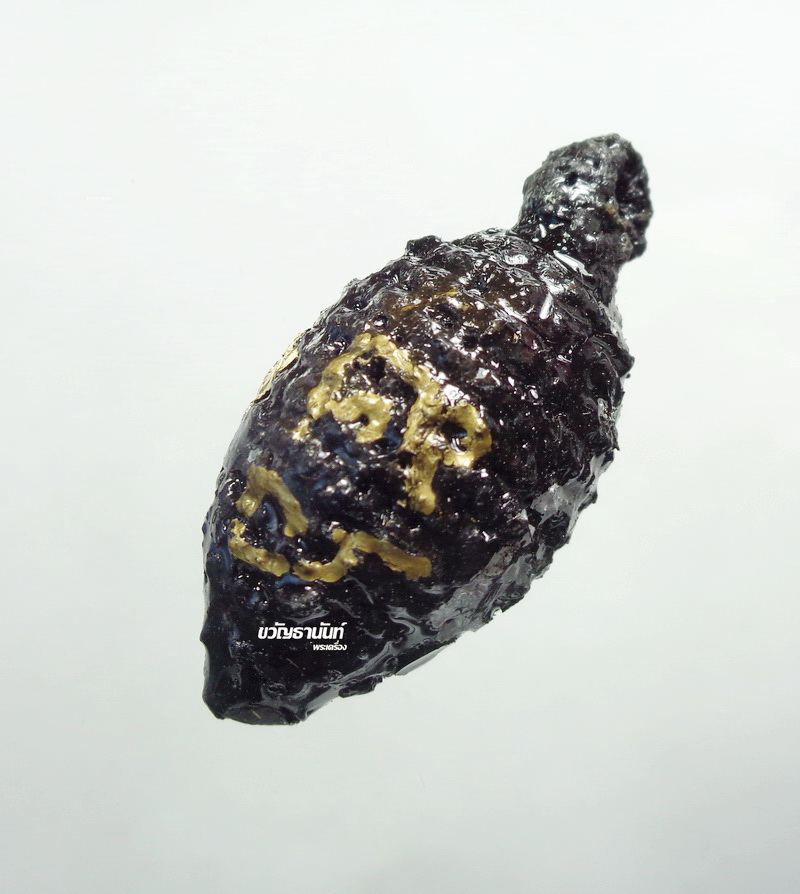 หมากทุย หลวงพ่อพัฒน์ วัดห้วยด้วน รุ่นแรก (KP01)