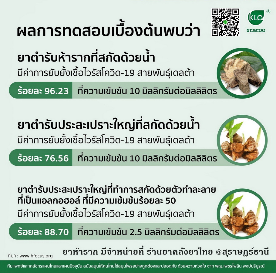 ยาห้ารากสกัด ยาในตำราแพทย์แผนไทย