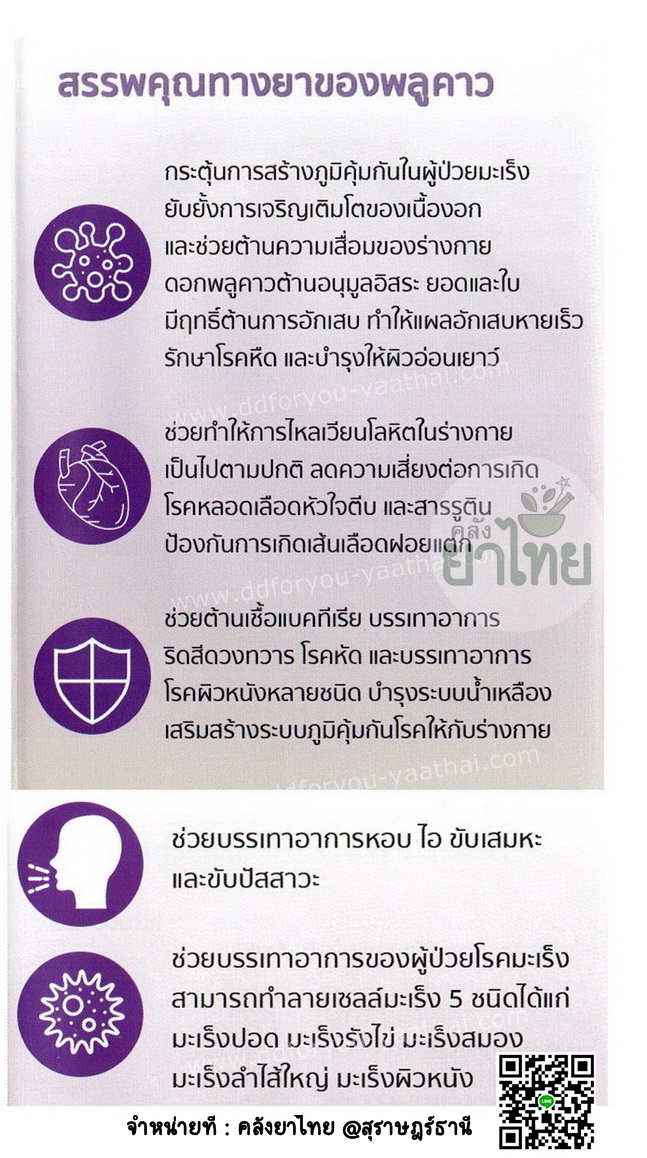 พลูคาวสกัดแคปซูล