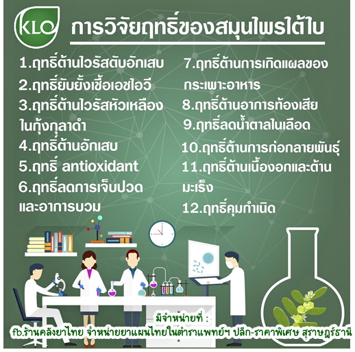 ยาเม็ดลูกใต้ใบ จัดการตับอักเสบ