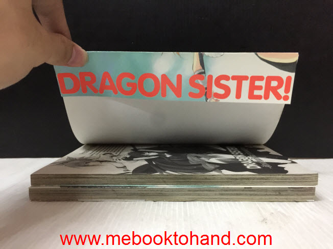 Dragon Sister! ศึกสามก๊กสะท้านปฐพี 1-2