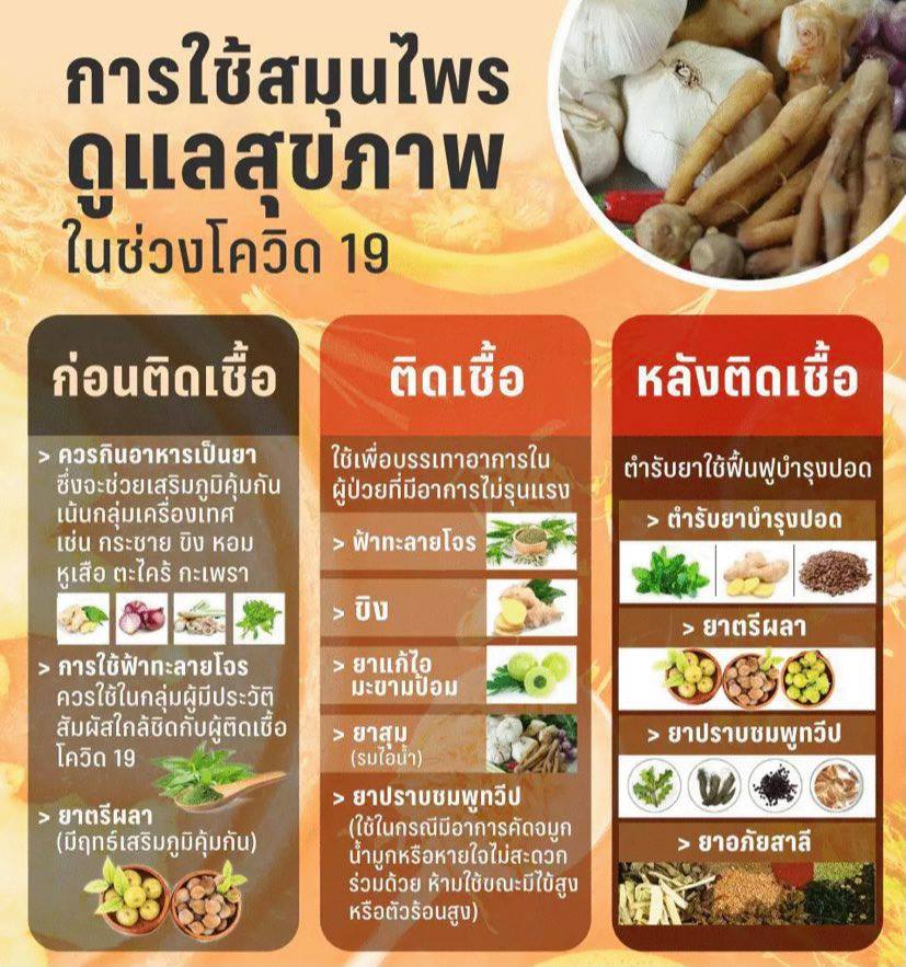 ยาอภัยสาลี ยาในตำราแพทย์แผนไทย