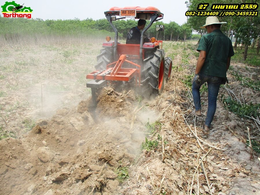 ผานขุดมัน แบบ จานขุด