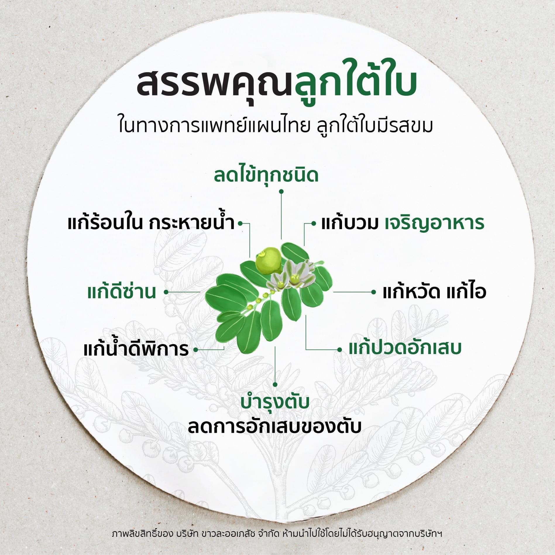 ยาเม็ดลูกใต้ใบ จัดการตับอักเสบ