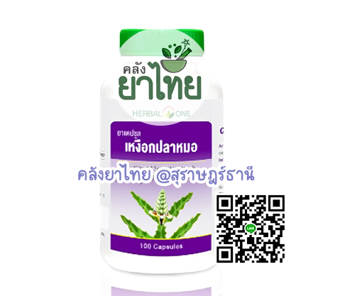 เหงือกปลาหมอแคปซูล