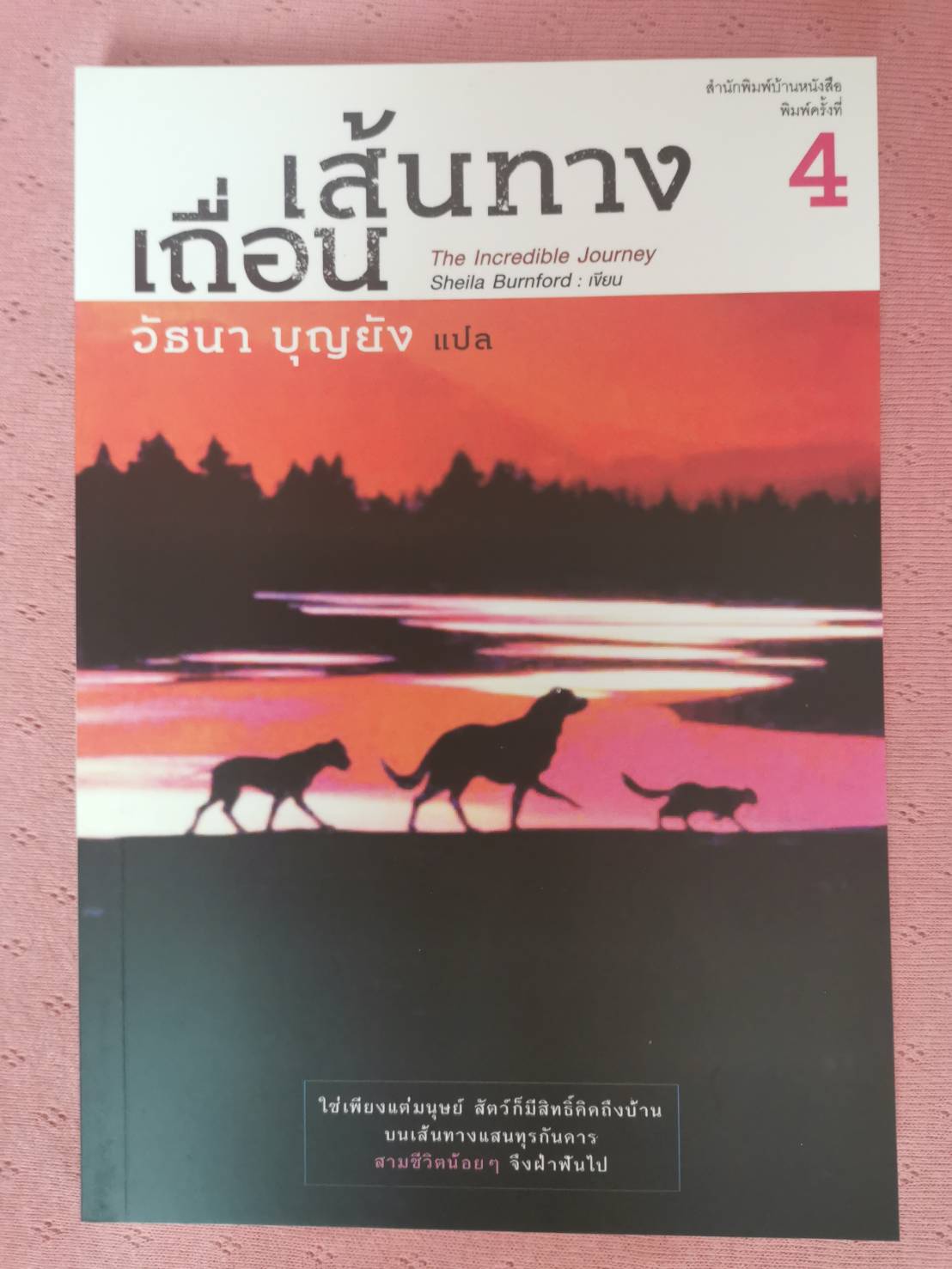 เส้นทางเถื่อน