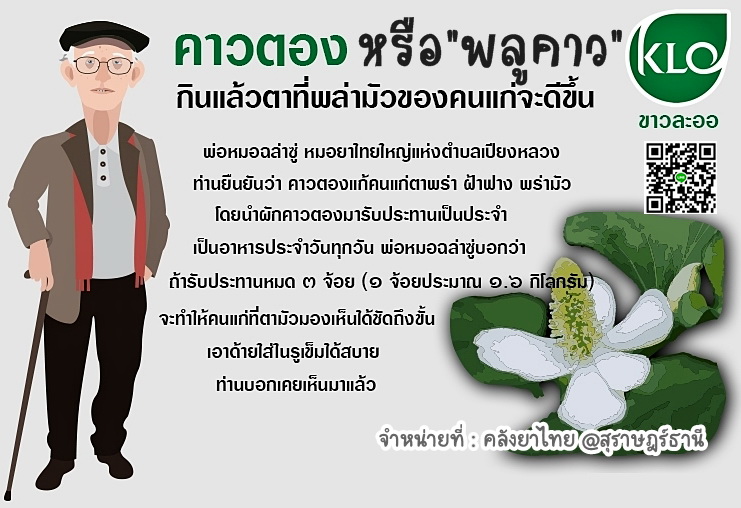 พลูคาวสกัดแคปซูล