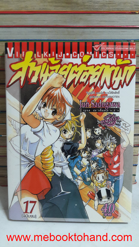 สาวน้อยต่อยหนัก 1-17 จบ