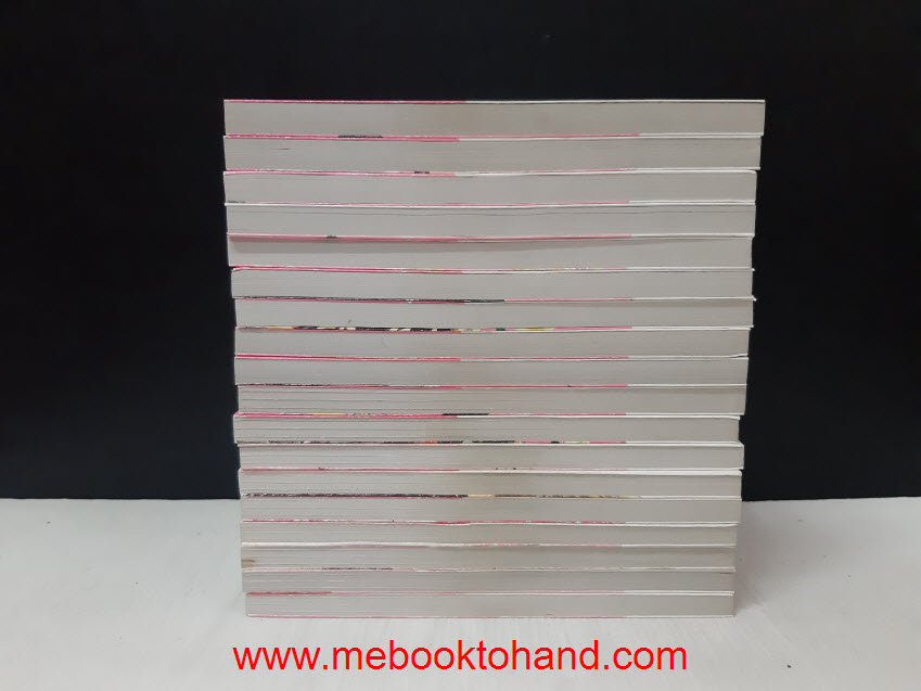 สาวเมดผจญหนุ่มสุดป่วน 1-18 จบ