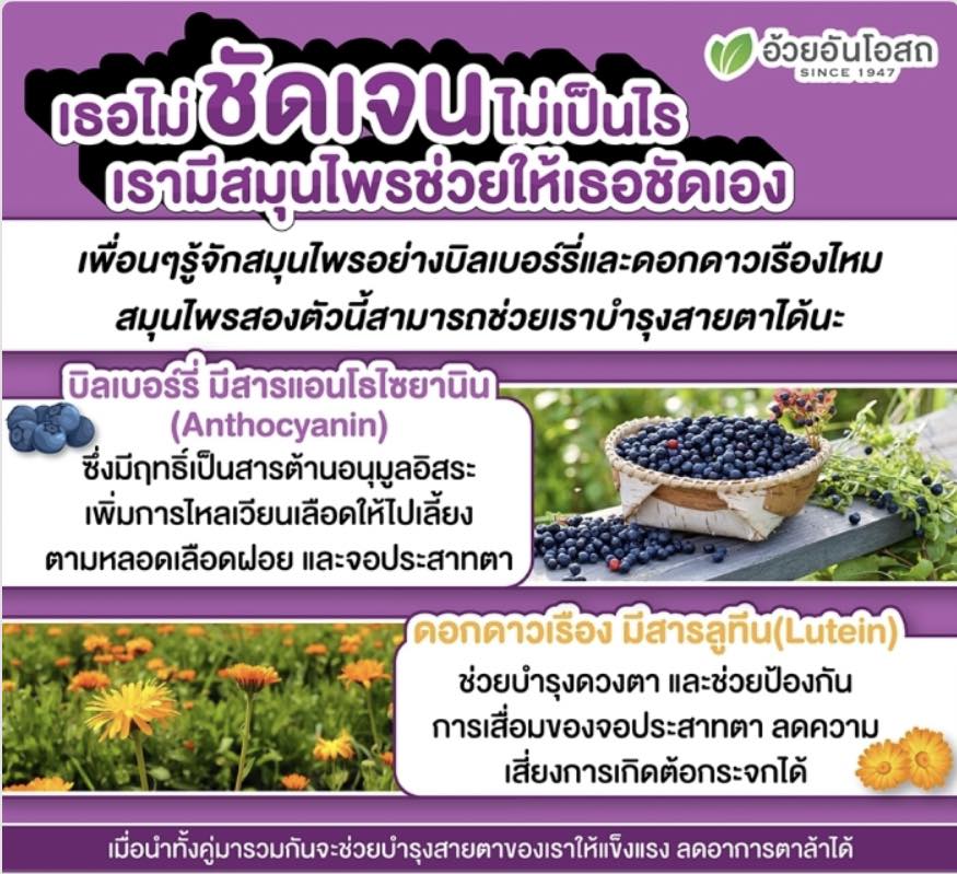 โอโคเบอร์รี่Ocoberry บำรุงดวงตา