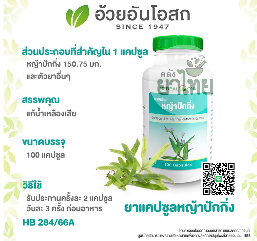 หญ้าปักกิ่ง