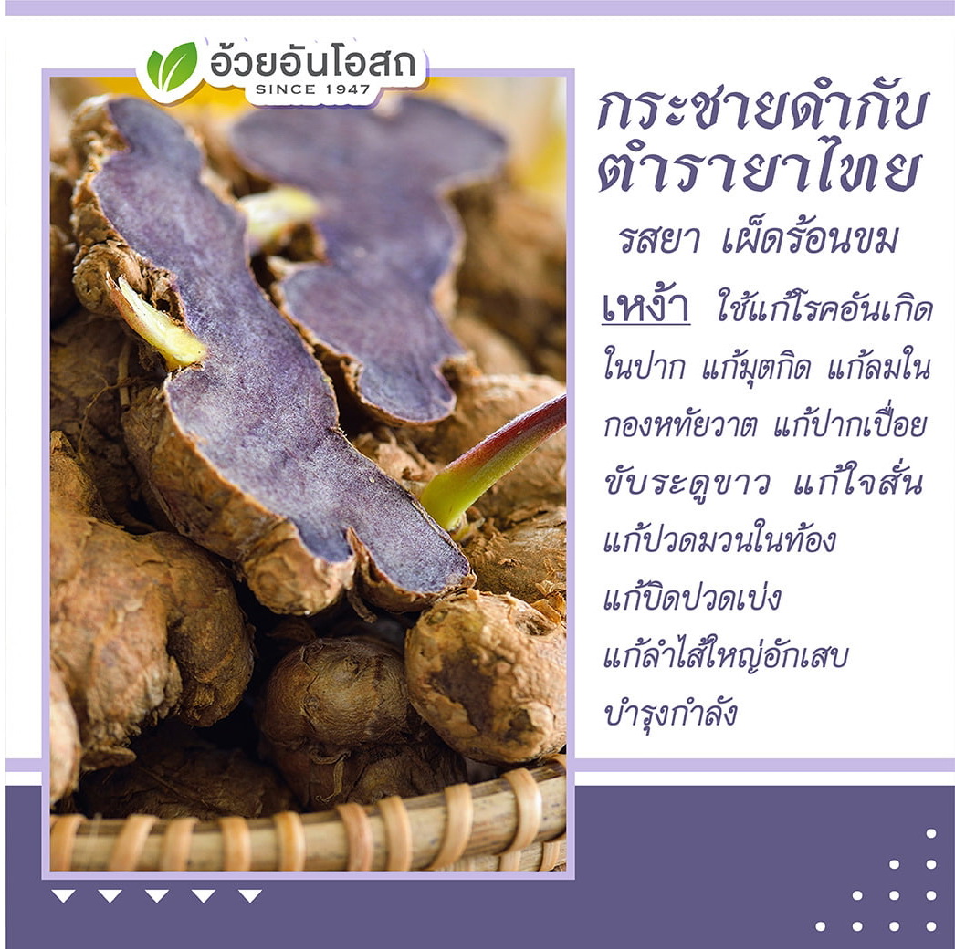 กระชายดำ(ดูแลบุรุษ)