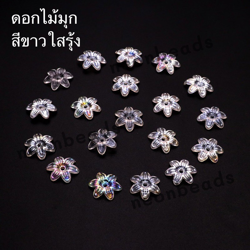 ดอกพิกุล สีขาวใสรุ้ง